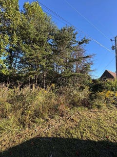 /international/us/turkey-ridge-road-lot-38-wellington-ky-110120455695/