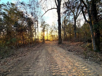 /international/us/18-acres-springhill-rd-poplarville-ms-110104996696/