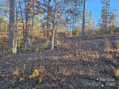 /international/us/2167-inlet-shore-road-ne-connelly-springs-nc-110096804989/?lang=zh-tw