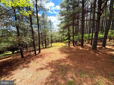 /international/us/20-74-ac-lot-10-ashton-woods-moorefield-wv-110107710500/