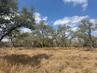 /international/us/tbd-talk-rach-rd-nordheim-tx-110105752405/