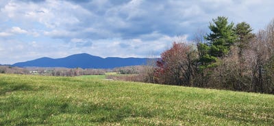 /international/us/callaway-rd-lot-1-rocky-mount-va-110107698434/