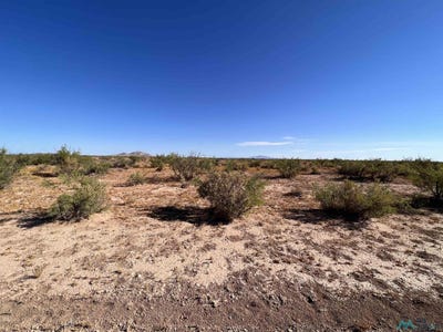 /international/us/000-sw-cenaroca-road-deming-nm-110086249921/