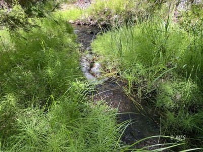 /international/us/680-550-butte-creek-rd-adin-ca-110104053334/