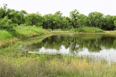 /international/us/351-county-road-126-coleman-tx-110096893162/?lang=zh-tw