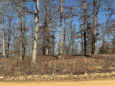 /international/us/lot-ee-ee-s-hidden-valley-lakes-annapolis-mo-110105920762/