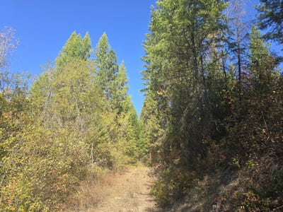 /international/us/3xxx-sand-creek-rd-kettle-falls-wa-110102925156/