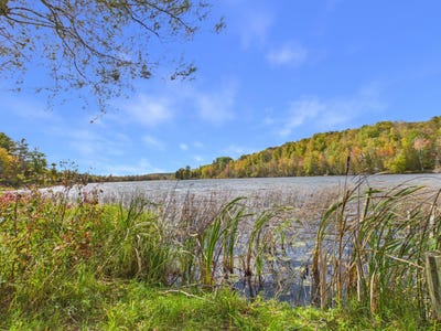 /international/us/6355-rushton-road-ellsworth-mi-110120456846/