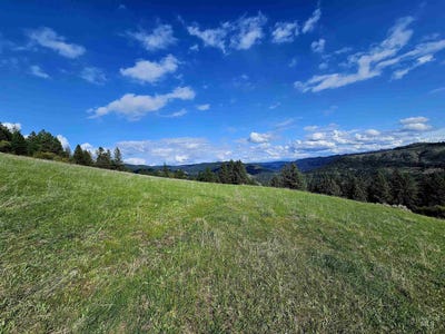 /international/us/tbd-dent-bridge-rd-orofino-id-110096512791/?lang=zh-tw
