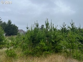 /international/us/806-318th-pl-ocean-park-wa-110093677048/