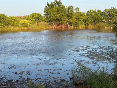 /international/us/5725-farm-market-604-ovalo-tx-110120019804/