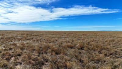 /international/us/tbd-county-road-29-sugar-city-co-110106005675/