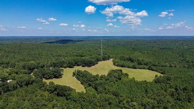 /international/us/0-hwy-10-e-pine-apple-al-110101714274/
