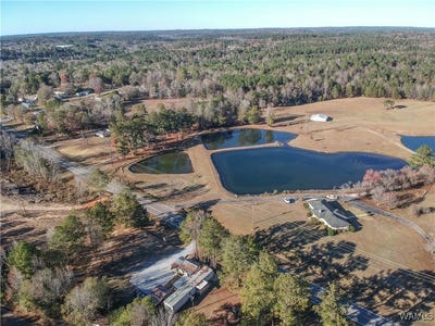 /international/us/16414-hwy-11-n-vance-al-110104457098/