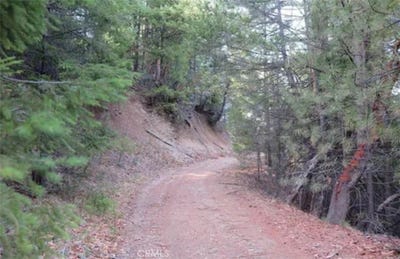 /international/us/34500-etsel-ridge-road-covelo-ca-110098491520/?lang=zh-tw