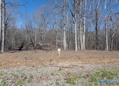 /international/us/lot-7-county-road-825-scottsboro-al-110097666038/
