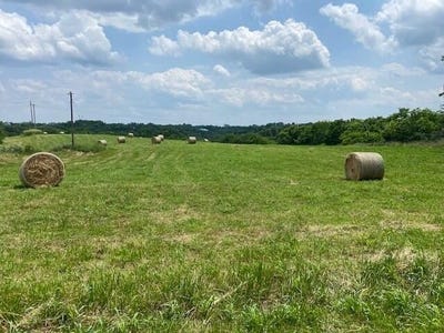 /international/us/1592-s-bluegrass-road-brooksville-ky-110100796806/?lang=zh-tw