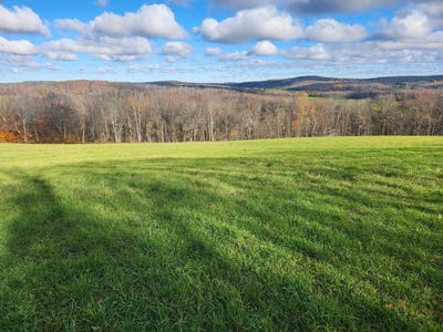 /international/us/0-reit-road-smyrna-ny-110106280943/