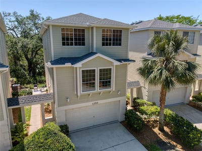 /international/us/1353-curlew-road-dunedin-fl-110098613151/