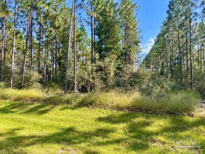 /international/us/morgans-branch-lot-29-molino-fl-110102661843/