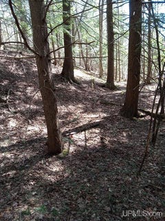 /international/us/36431-daniels-road-ontonagon-mi-110107781184/