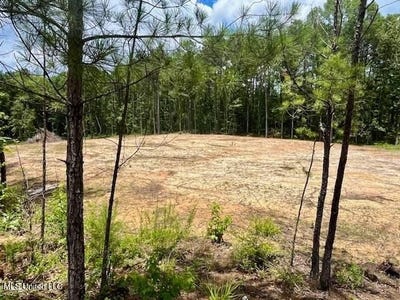 /international/us/278-poplar-springs-road-mendenhall-ms-110105425918/