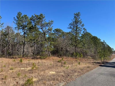/international/us/n-morningside-drive-ga-110105938989/