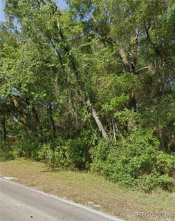 /international/us/3366-s-apopka-avenue-inverness-fl-110100528131/?lang=zh-tw