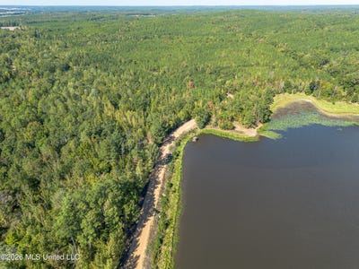 /international/us/lake-road-duck-hill-ms-110120515019/