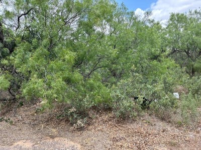 /international/us/watson-colorado-city-tx-110099935557/