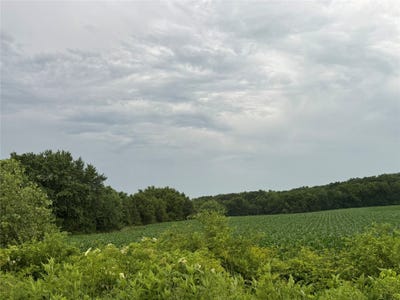/international/us/205th-st-and-125th-avenue-grand-river-ia-110108568799/