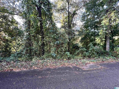 /international/us/3116-brentwood-drive-lot-6-oxford-al-110102907311/