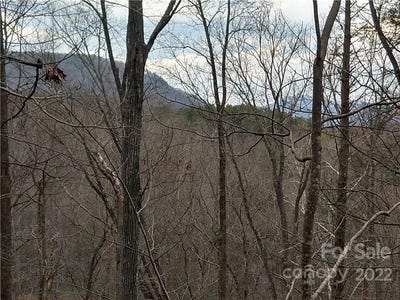 /international/us/rock-spring-road-lot-94-95-lake-lure-nc-110075059353/