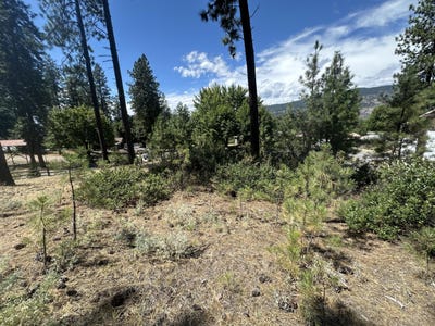 /international/us/1363-arthur-ct-kettle-falls-wa-110101429590/?lang=en