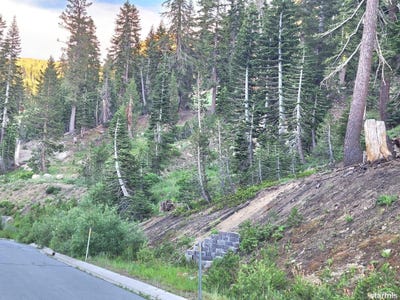 /international/us/11-the-palisades-unit-4-kirkwood-ca-110108449775/