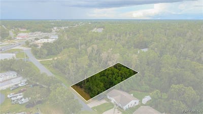/international/us/2905-crystal-boulevard-inverness-fl-110110165302/