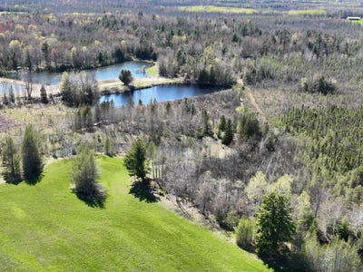 /international/us/w5884-9-5-ln-wallace-mi-110108380516/