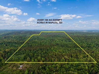 /international/us/cr-2742-naples-tx-110105765517/