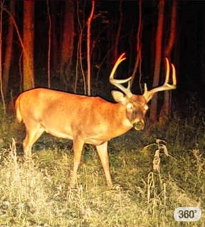 /international/us/sr-91-north-marion-ky-110105834888/