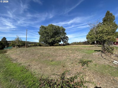 /international/us/1545-old-town-loop-rd-oakland-or-110110299771/