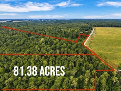 /international/us/county-road-91-little-texas-al-110109985615/