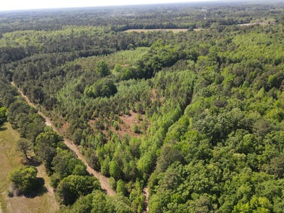 /international/us/cottage-lane-saint-stephen-sc-110107585312/