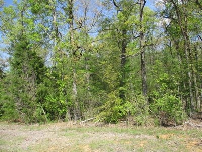 /international/us/hwy-17-florence-al-110107452963/
