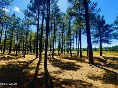 /international/us/9578-sierra-springs-drive-pinetop-az-110100251991/