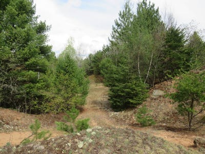 /international/us/tbd-dunham-road-marenisco-mi-110100920201/