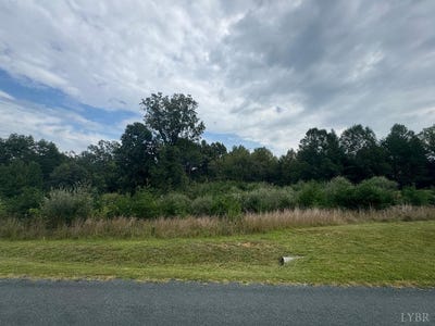 /international/us/love-lady-creek-road-monroe-va-110110144816/