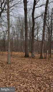 /international/us/winding-ridge-lane-lot-10-winchester-va-110108147327/