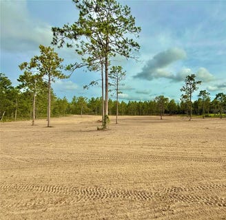 /international/us/tbd-se-60th-street-morriston-fl-110101013250/