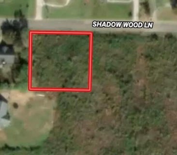 /international/us/shadow-woods-lane-lot-19-blk-c-ozark-al-110108203288/