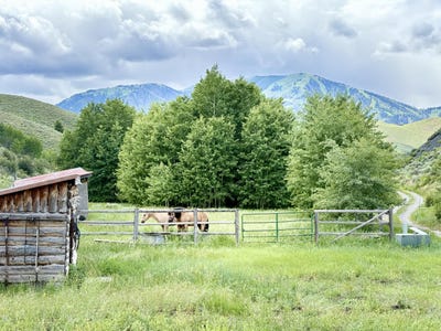 /international/us/120-keystone-st-sun-valley-id-110106311665/